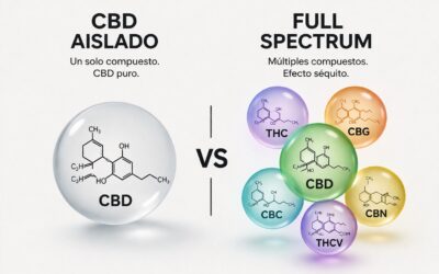 CBD Full Spectrum vs CBD aislado: qué significa cada uno y en qué se diferencian