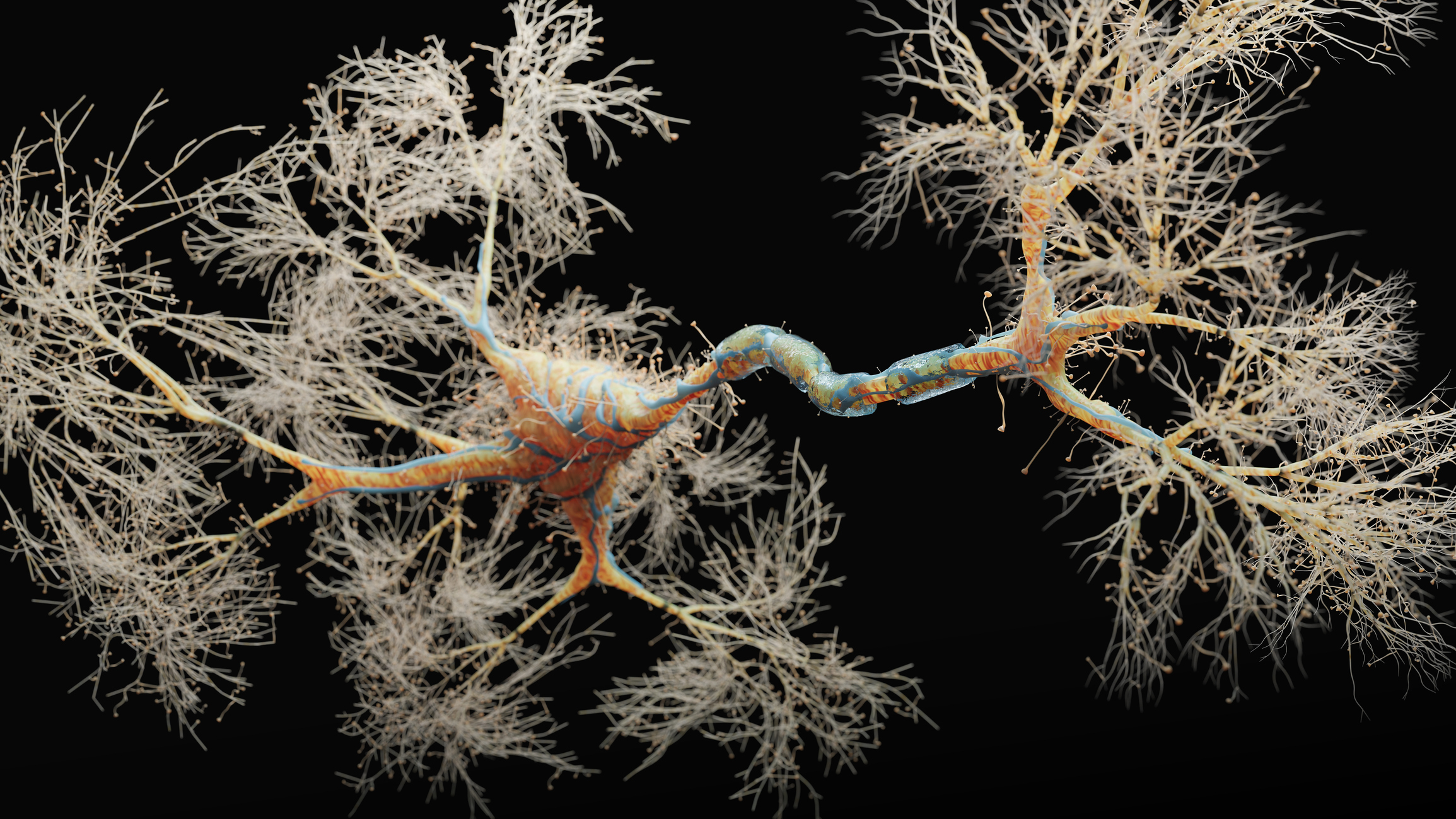 La relación entre el receptor GABA y los cannabinoides