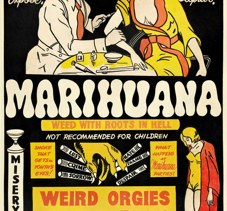 Cannabis aspectos científicos, médicos y sociales