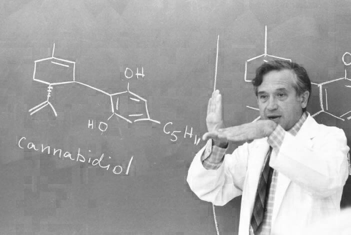 Los Pioneros de los Cannabinoides: Mentes Brillantes que Revolucionaron la Ciencia