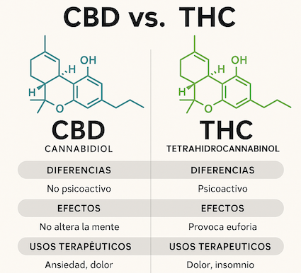 CBD y THC CBD y THC