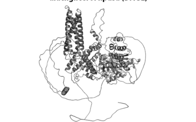 DAGL (Diacylglycerol Lipase)