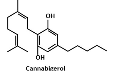CBG (Cannabigerol)