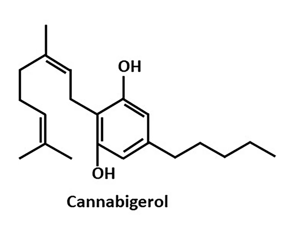 cannabigerol (CBG)