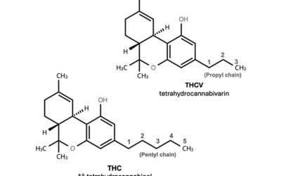 Tetrahidrocannabivarina (THCV)