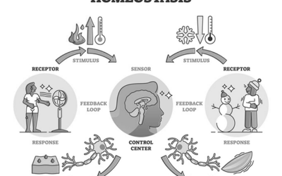 HOMEOSTASIS