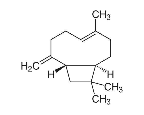 Estructura química del β-cariofileno