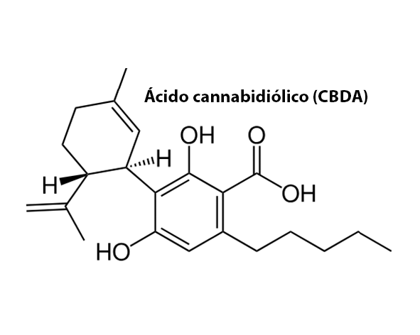 Estructura química CBDA