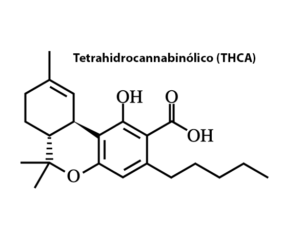 tetrahidrocannabinólico (THCA)