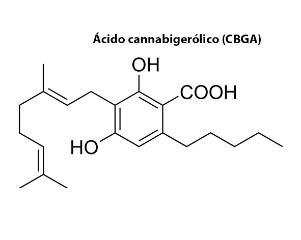 ácido cannabigerólico (CBGA)
