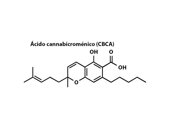 ácido cannabicroménico (CBCA)