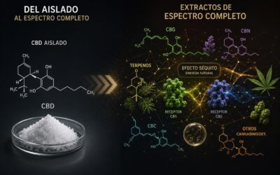 ¿Está cambiando la investigación sobre el CBD? El auge del CBG, el CBN y los extractos de espectro completo